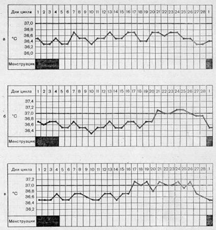 Кривые базальной температуры при нормальном менструальном цикле