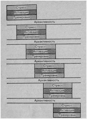Периодическая смена триад адаптационных реакций (тренировки, активации, стресса), разделенных зонами ареактивности (по Л. X. Гаркави и др., 1977)