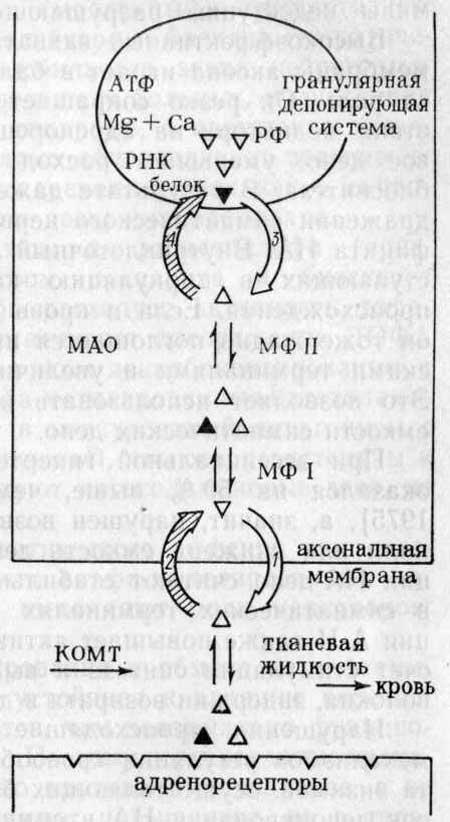 Схема