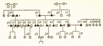 Родословная семьи больного