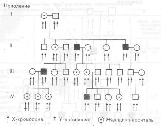 Наследование по Х-сцепленному рецессивному типу