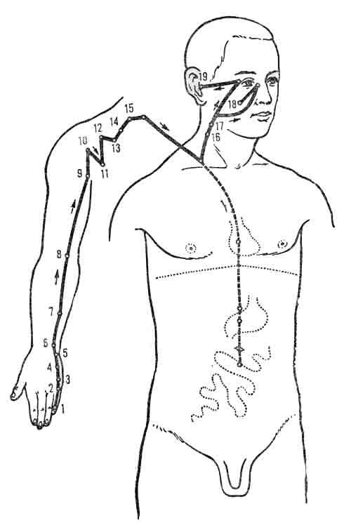 VI —  меридиан тонкой кишки