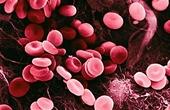 Микрочип выявляет раковые клетки в крови