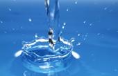 Вода и водно-солевой обмен (II)