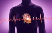 Недостаток витамина D способствует развитию инфаркта