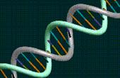 Полиморфизм генов является предиктором риска ИБС и эффективности статинов