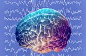 Электростимуляция мозга возвращает память
