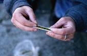 В Великобритании марихуану снова признают опасным наркотиком