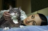 В США домашний кот заразил свою хозяйку туляремией