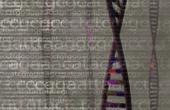 Анализ ДНК позволяет определить место рождения человека