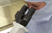 ISSR обеспокоено распространением сомнительных методов лечения с использованием стволовых клеток 