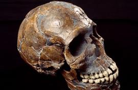 Человеческий череп из Куафзеха