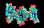 Ученым удалось синтезировать РНК-ферменты, воспроизводящие сами себя