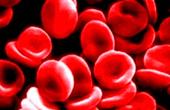 Первая группа крови защищает от рака поджелудочной железы