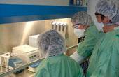 Сотрудница немецкой лаборатории, получившая вакцину против лихорадки Эбола, готовится к выписке из больницы