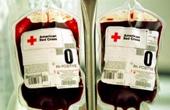 Сотрудники американского посольства стали донорами крови для москвичей