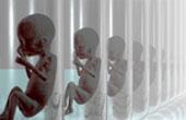 Российские законодатели продлили запрет на клонирование человека