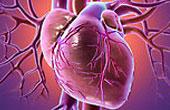 Высокое АД повышает выживаемость при подозрении на инфаркт