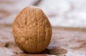 Роспотребнадзор запретил ввозить из Таджикистана орехи и сухофрукты