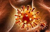 Генномодифицированный вирус герпеса помогает вылечить рак