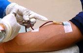 В «День Донора» забайкальские лесники сдали шесть литров крови
