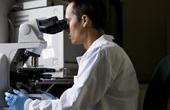 «Биннофарм» и МГУ получили государственные субсидии на создание клеточных трансплантатов