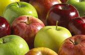 Регулярное потребление яблок способно защитить от повышенного холестерина