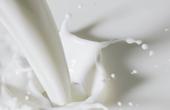 Обогащенное молоко может облегчить подагру