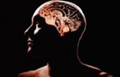 Количество аномалий головного мозга при эпилепсии со временем увеличивается