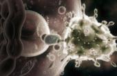Исследование подчеркивает важность ранней антиретровирусной терапии ВИЧ