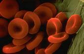 Генетическая терапия восстановит свертываемость крови