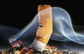 Курение и его влияние на организм 