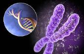 Как определить рост человека по ДНК