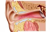 Лечение импотенции может привести к потере слуха