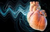 Вдыхание выхлопных газов провоцирует болезни сердца