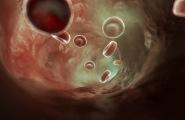 Заражение малярией может привести к раку крови