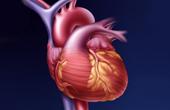 Гнев повышает риск развития артериальной гипертонии и ишемической болезни сердца