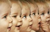 ООН призвала все страны определиться с законами о клонировании человека