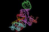 Контроль за РНК позволяет отключить гены, вызывающие заболевания