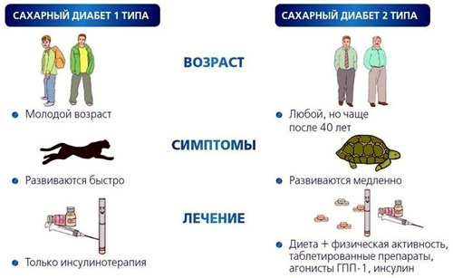 Все, что нужно знать о сахарном диабете