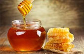 Целебные свойства продуктов пчеловодства