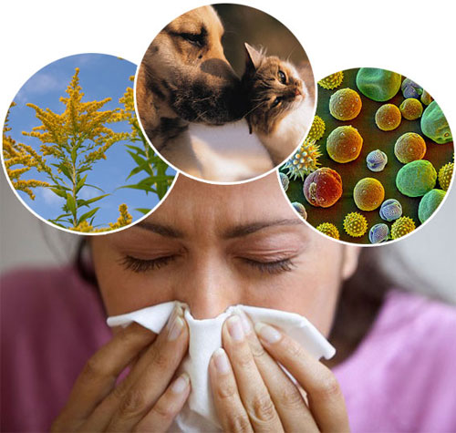 Аллергия и её проявления