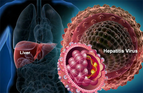 Новейшие методы борьбы с гепатитом С