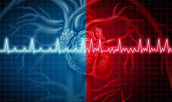 Как часто надо посещать кардиолога и зачем?