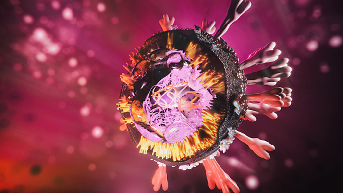 «Сверхмощные» антитела против вариантов COVID-19, выделенные в Медицинском центре Университета Вандербильта