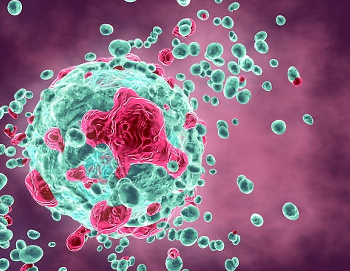 Как раковые клетки высасывают митохондрии из иммунных клеток
