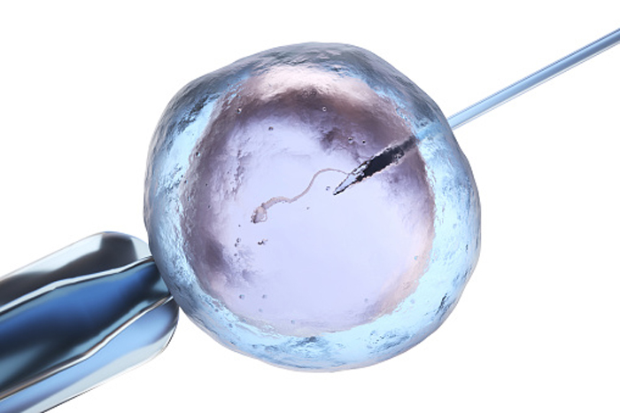 Замораживание яйцеклеток: как отложить материнство на потом?