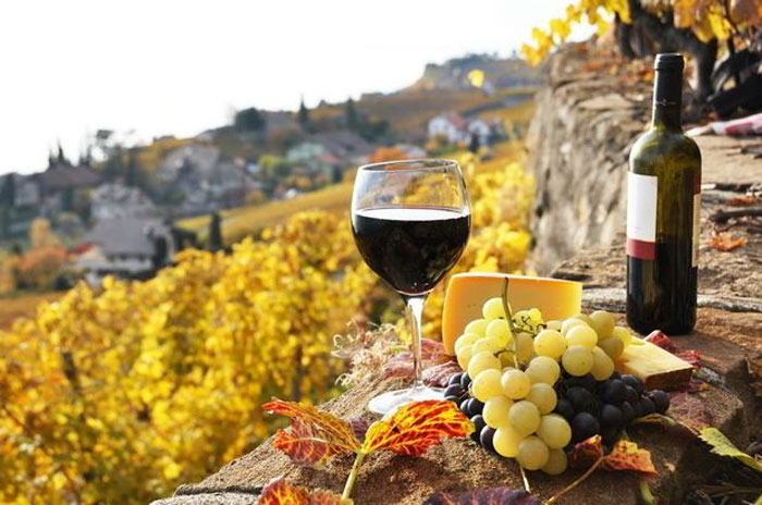 Употребление вина во время еды снижает риск развития диабета 2 типа