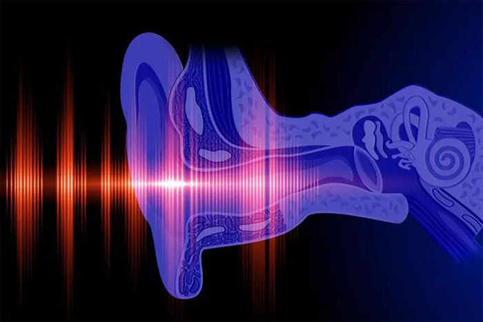 Концепция слуха уха