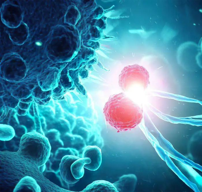 Цитотоксические CD8+ Т-клетки, распознающие раковые клетки за счет связывания с рецептором неоантигенов